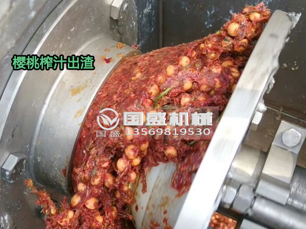 國(guó)盛櫻桃螺旋壓榨脫水機(jī) 國(guó)盛櫻桃螺旋壓榨脫水機(jī)